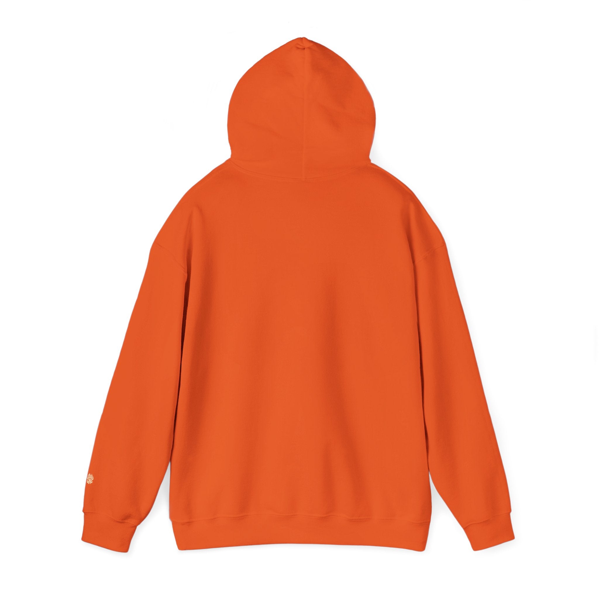 GOD CARES HOODIE